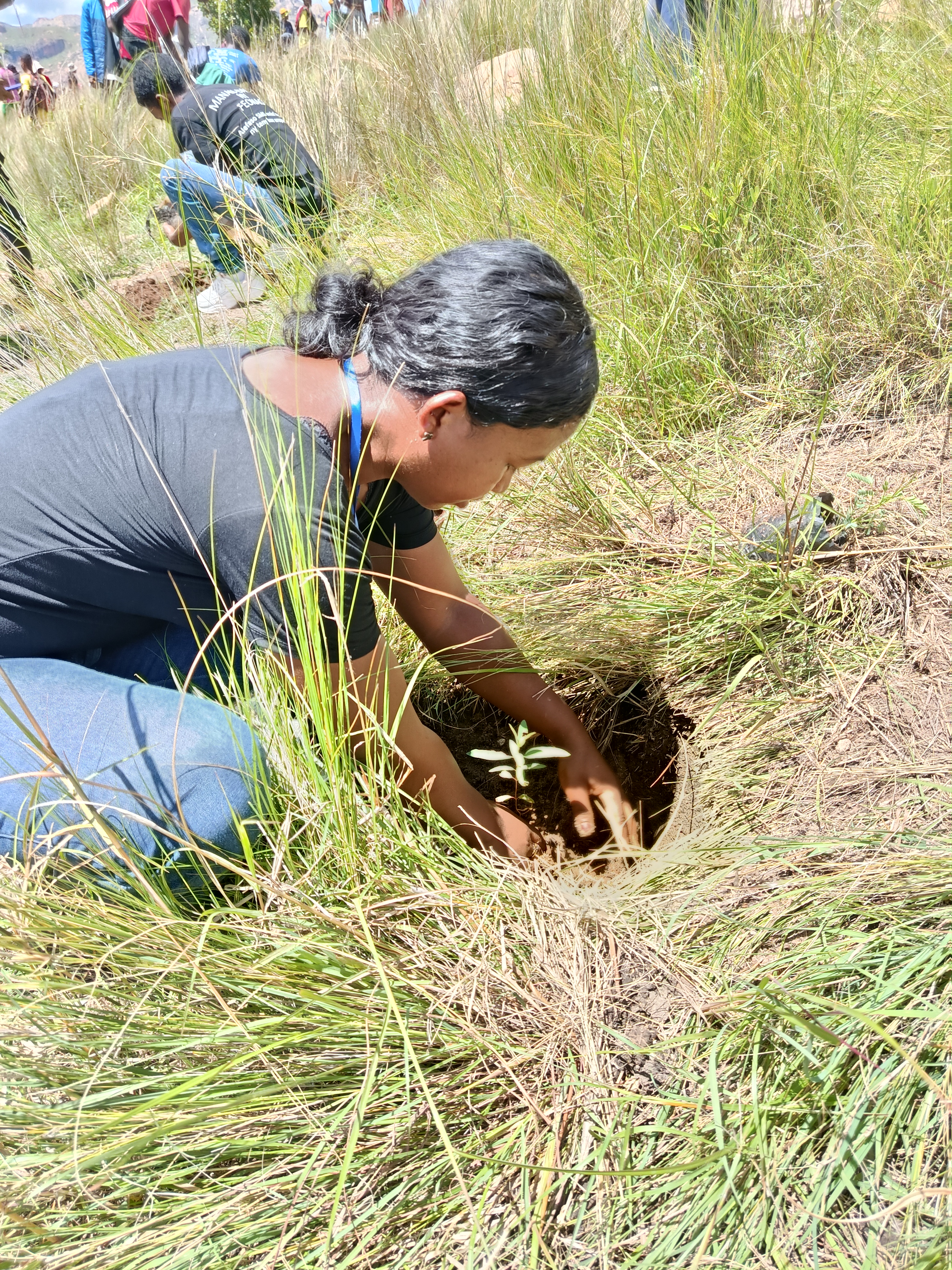 Action de plantation à la Réserve communautaire d’Anja – 30 janvier 2026